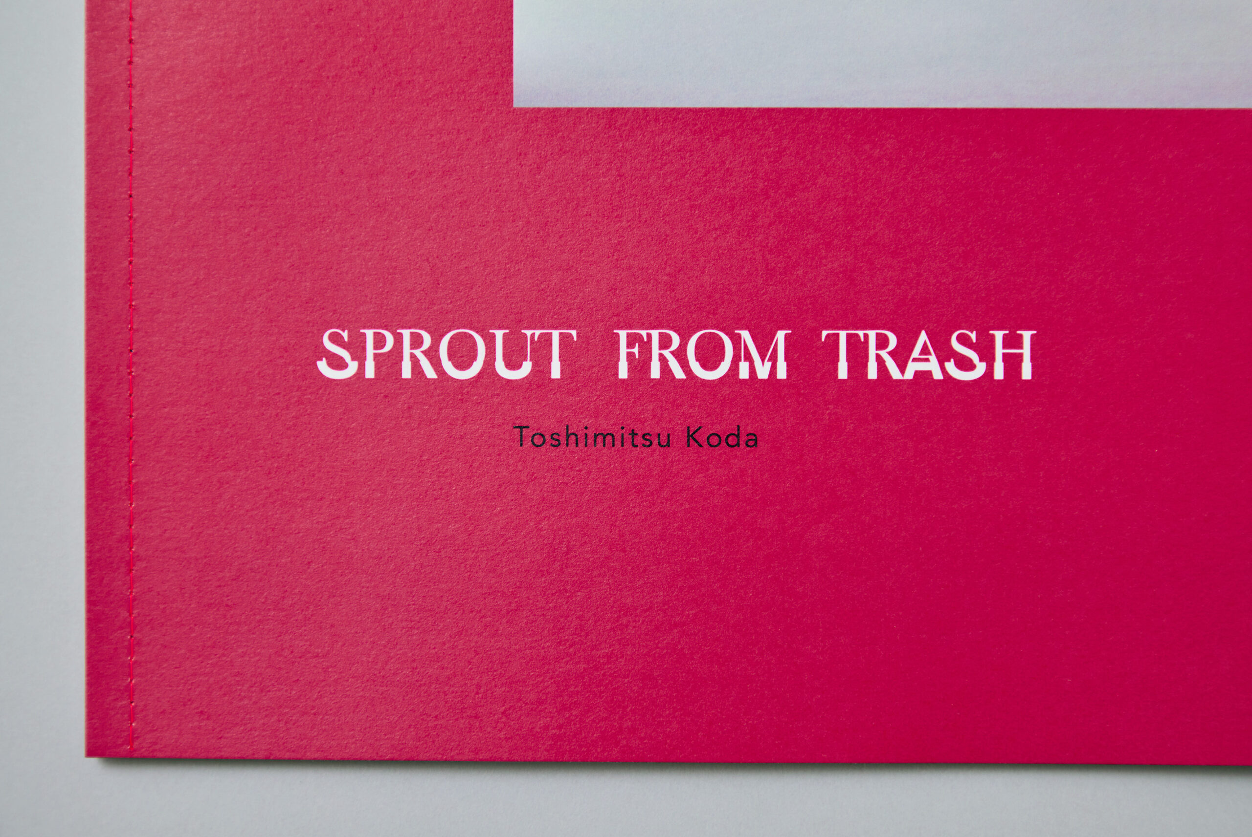 Sprout From Trash